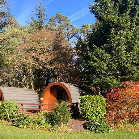 Glamping Hut - By The Way Campsite Tyndrum Eksteriør bilde