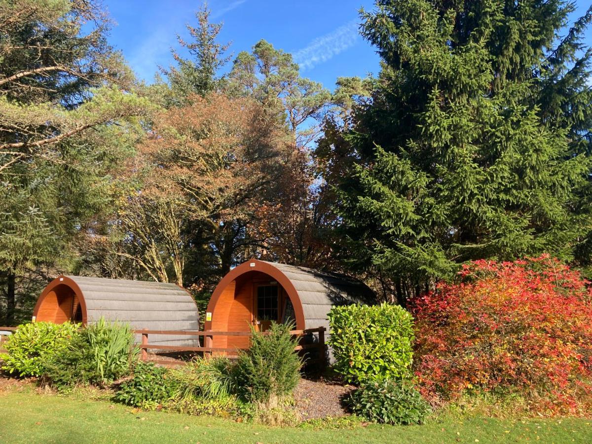 Glamping Hut - By The Way Campsite Tyndrum Eksteriør bilde